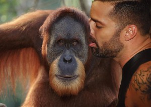 rs_560x398-140304135511-ORANGUTAN