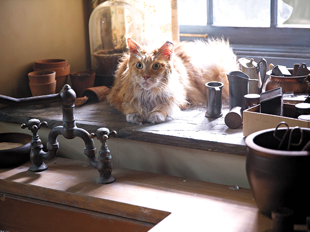 1384-hunger-games-mockingjay-part-2-1452