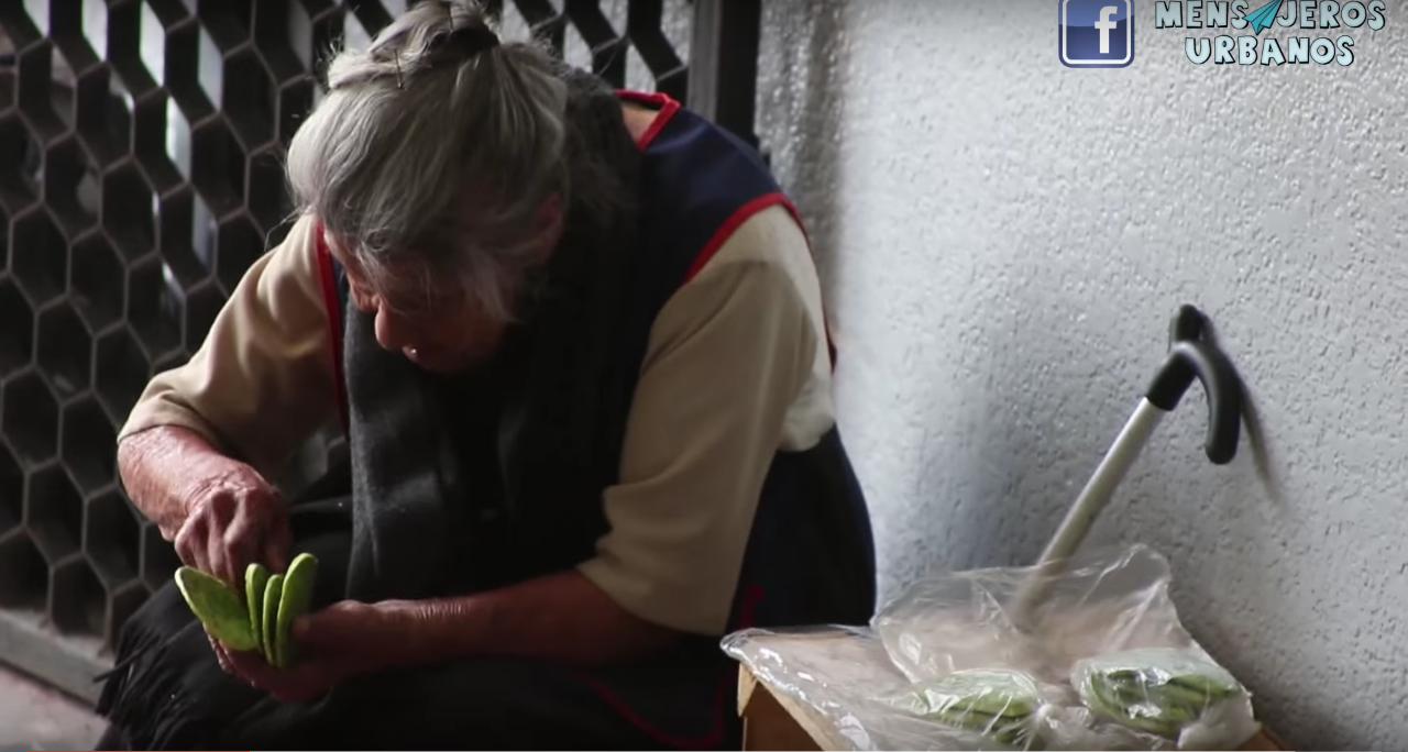 ancianita vendiendo nopales
