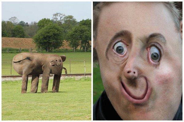 realidad los dibujos de su hijo de 6 años