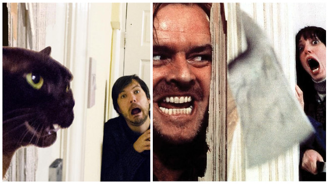 escenas de películas con su gato