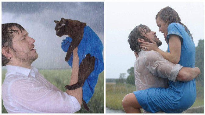 escenas de películas con su gato