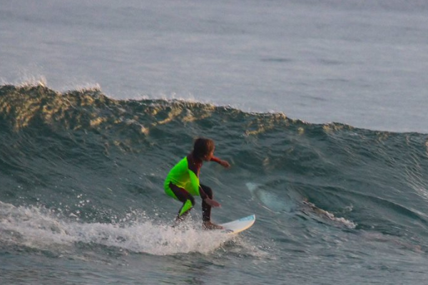 surfea a lado de un tiburón