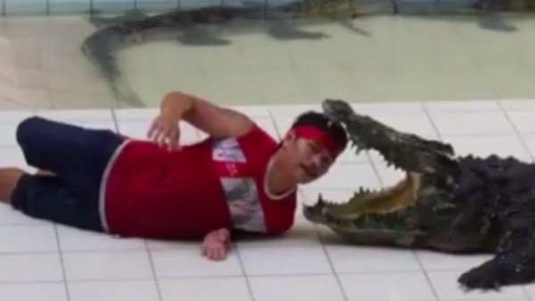 Hombre es atacado por un cocodrilo