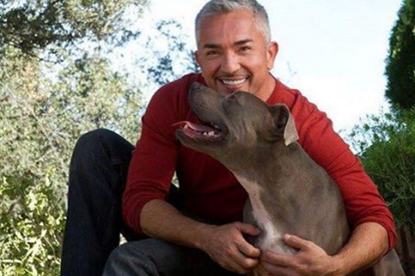 encantador de perros