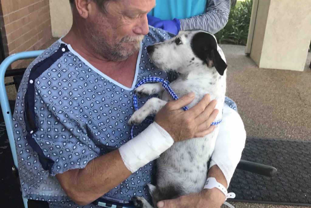 pitbull atacan a un hombre