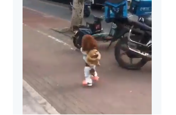 perros que caminan en dos patas