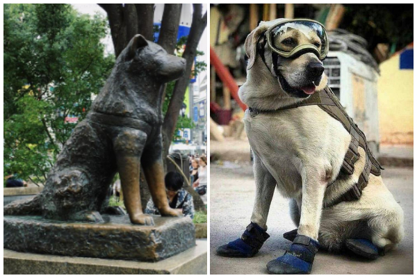 tributo a Frida en Japón