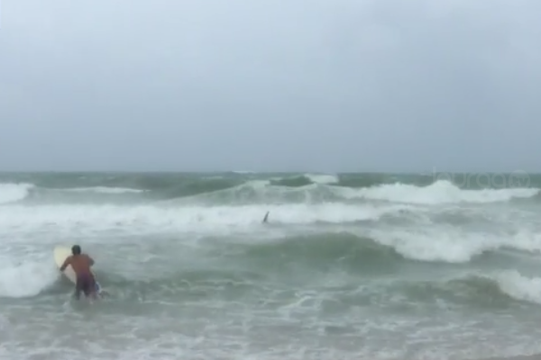 Surfistas ignoran advertencia del huracán Irma