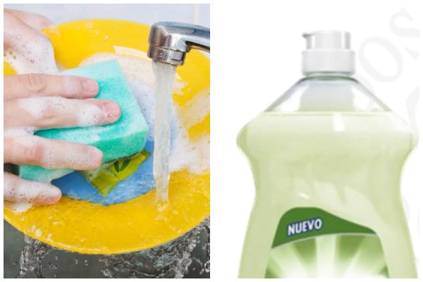 lavatrastes bacteria