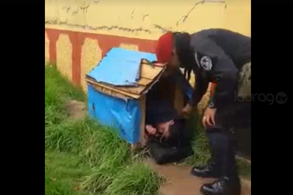 hombre en estado de ebriedad roba casa de un perrito