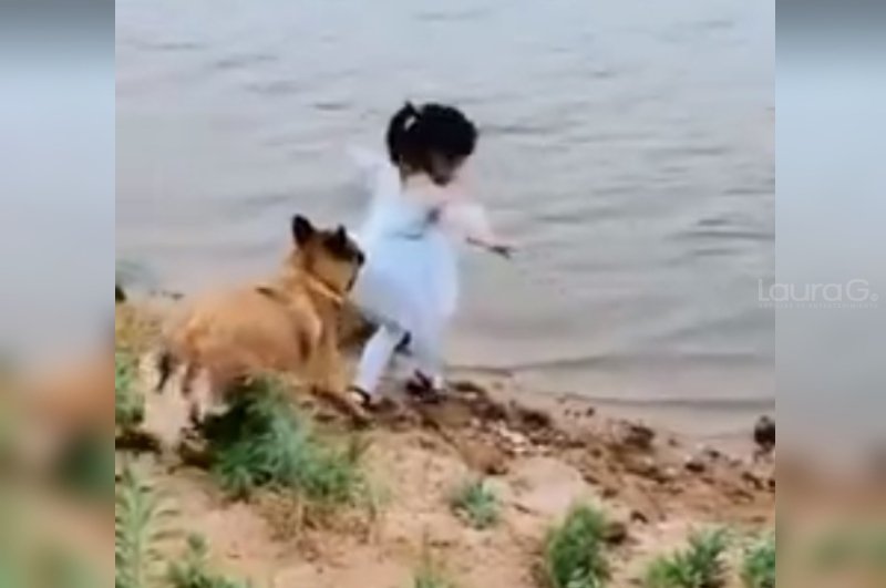 perro y ni&ntilde;a