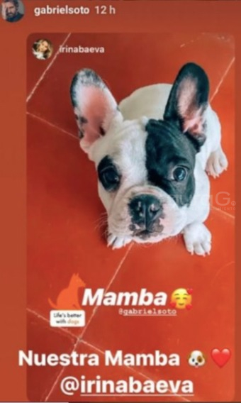 irina baeva gabriel soto lauragtv