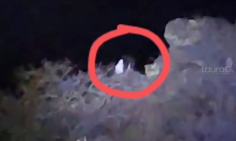 bruja-guanajuato-tiktok