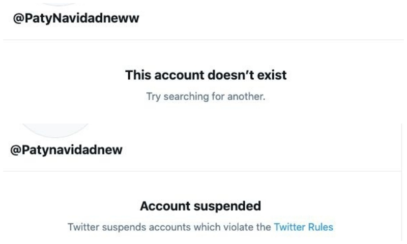 paty-navidad-twitter
