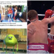canelo-memes