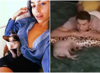 gato-pepe-cristiano-ronaldo-jet-privado