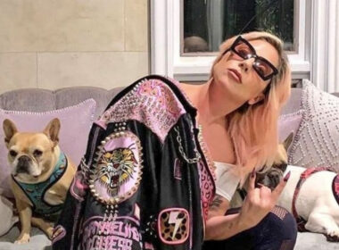 lady-gaga-mascotas