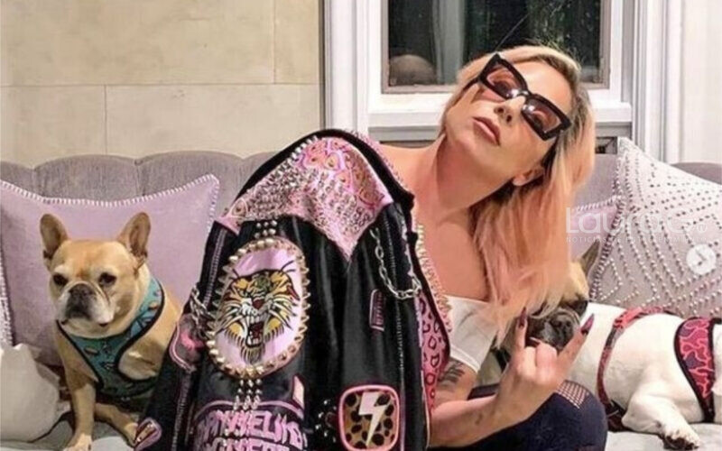 lady-gaga-mascotas