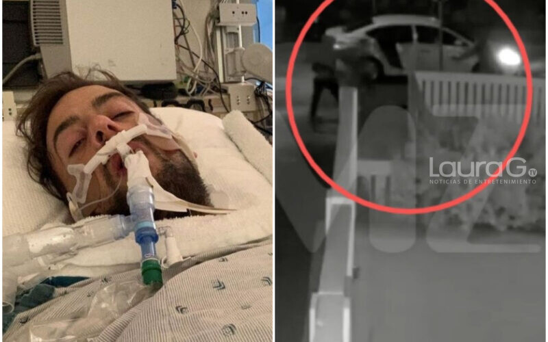 CUIDADOR-LADY-GAGA-BULLSOGS