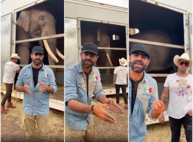 big-boy-arturo-islas-mr-tempo-luisitocomunica