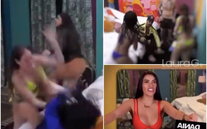 dania-mane-nacha-pelea-aca-shore