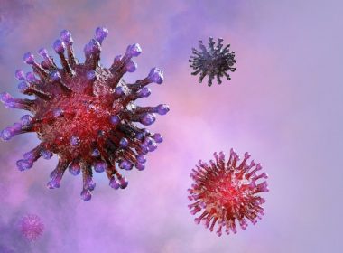 neutralizar-el-coronavirus