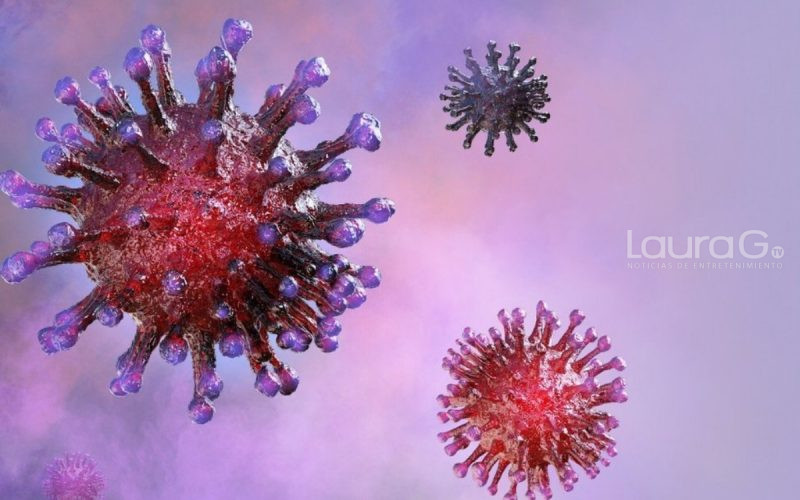 neutralizar-el-coronavirus