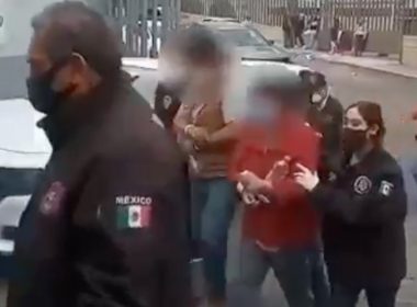 Muerte de un perrito