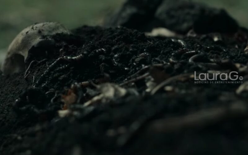 Cabinet of Curiosities